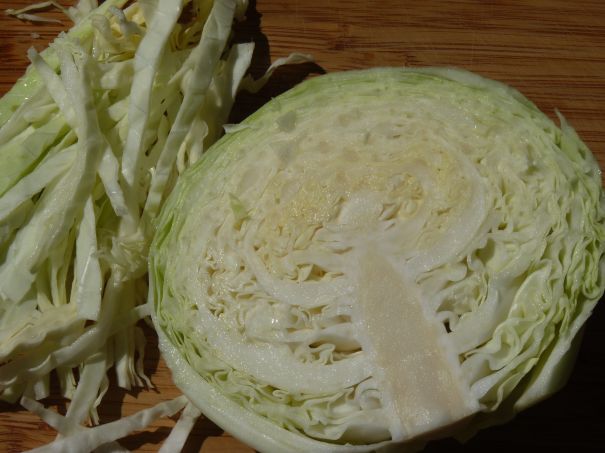 Cabbage